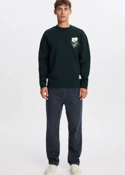 Sweater coastal scenery
