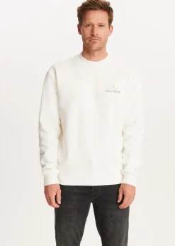 Sweater met print north